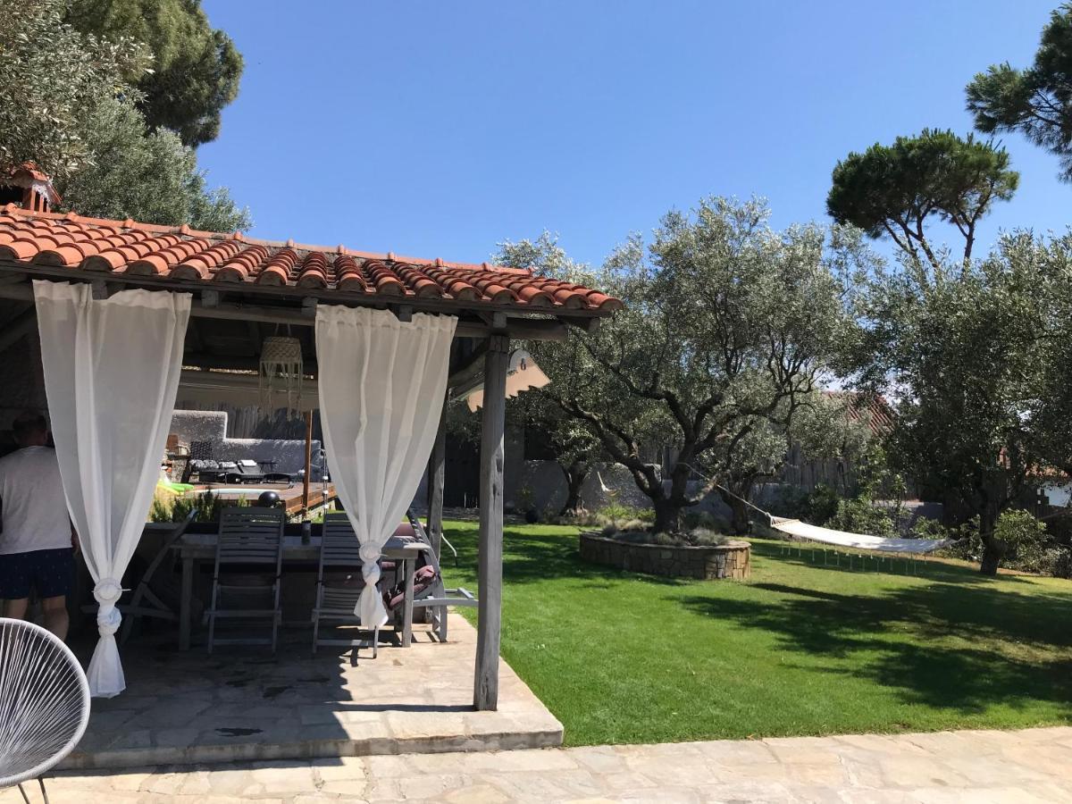 Sea View Villa In Olive Garden Nea Kallikrateia Eksteriør billede