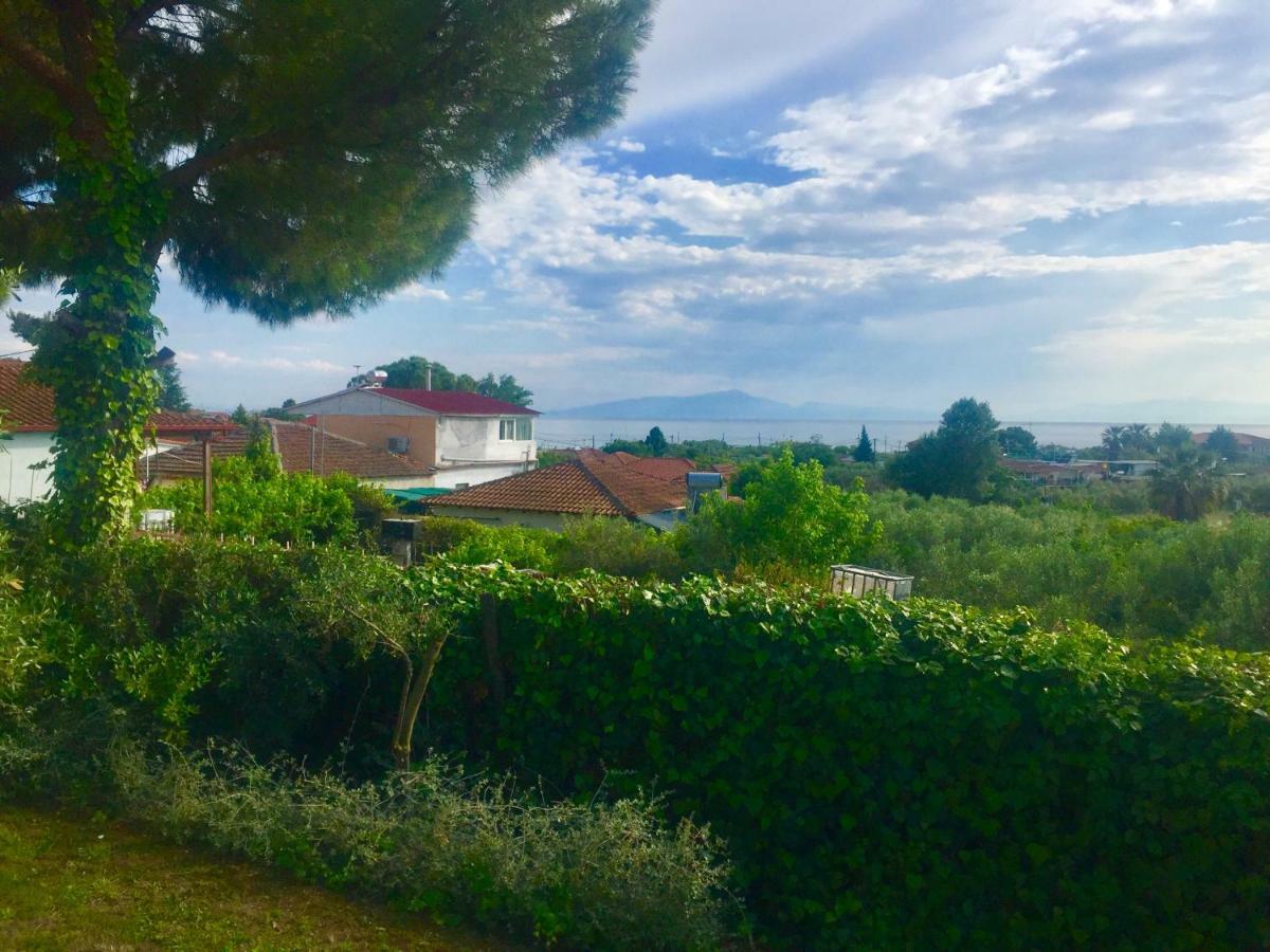 Sea View Villa In Olive Garden Nea Kallikrateia Eksteriør billede
