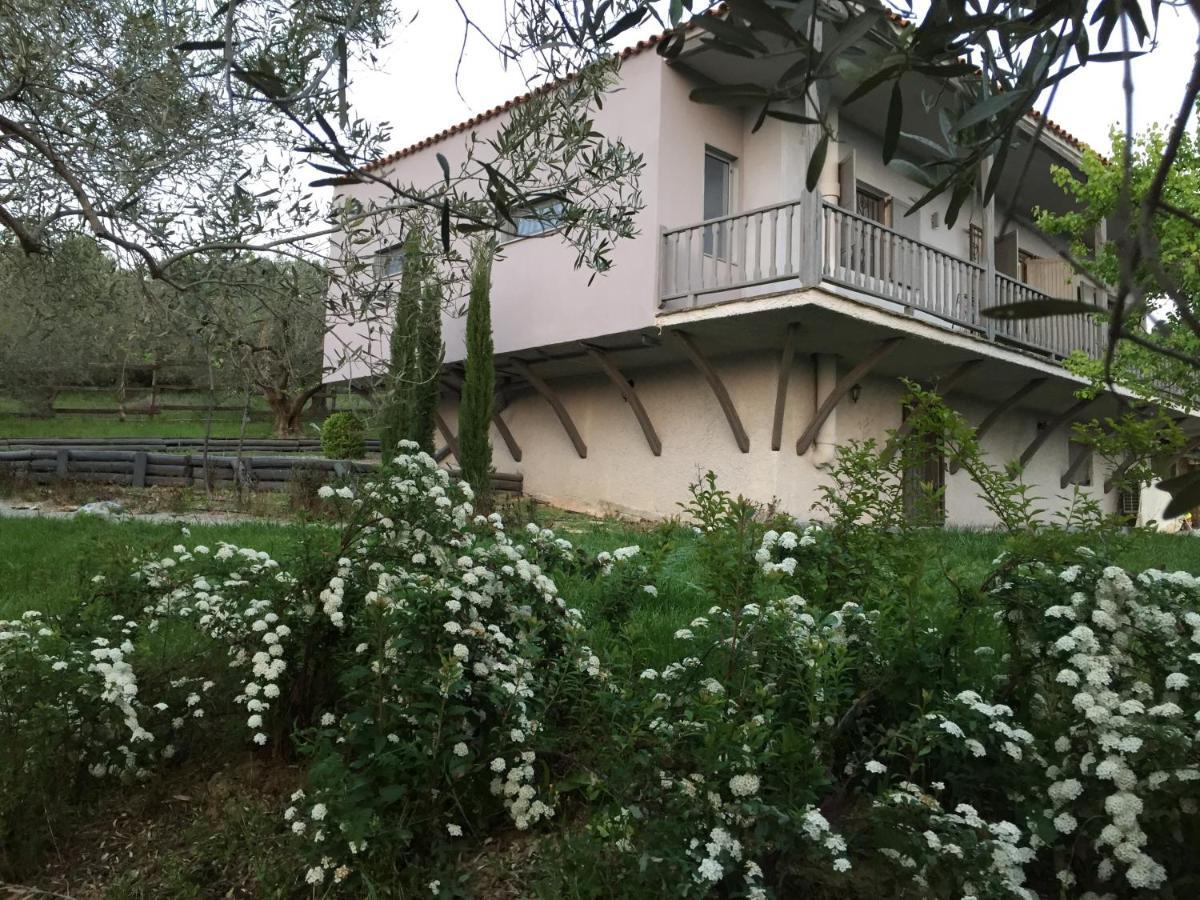 Sea View Villa In Olive Garden Nea Kallikrateia Eksteriør billede